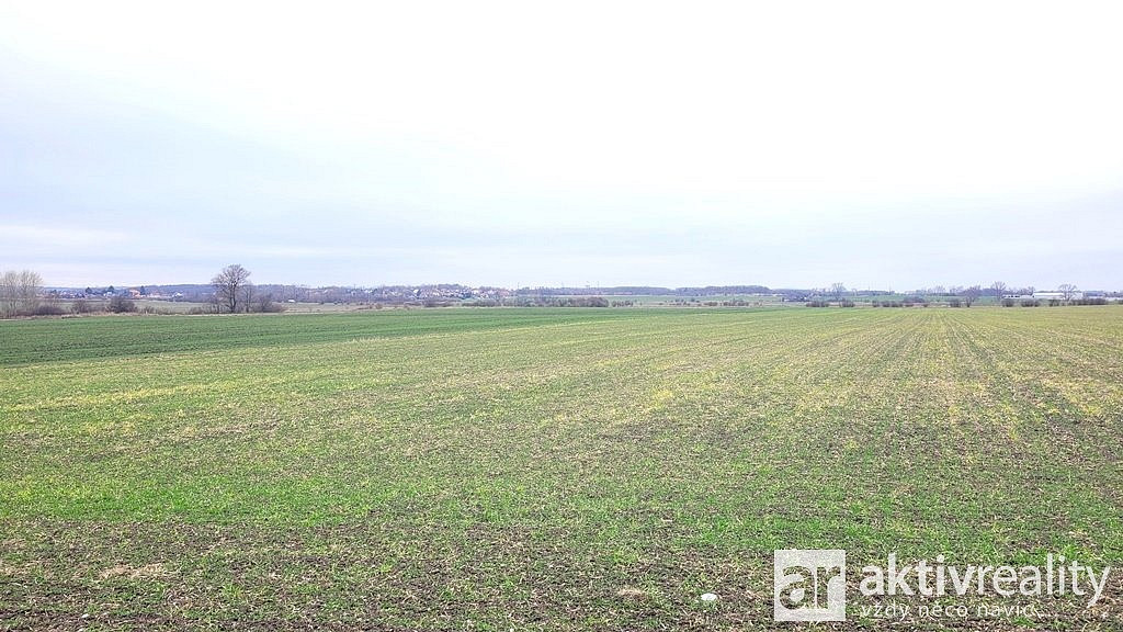 Prodej pole 7 464 m² – fotografie 2