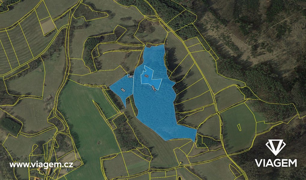 Prodej lesa 33 517 m², Nechvalice – náhled fotky 4