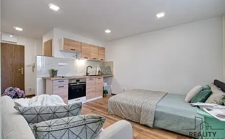 Pronájem bytu 1+kk 20 m², Prameny, Karviná - Ráj