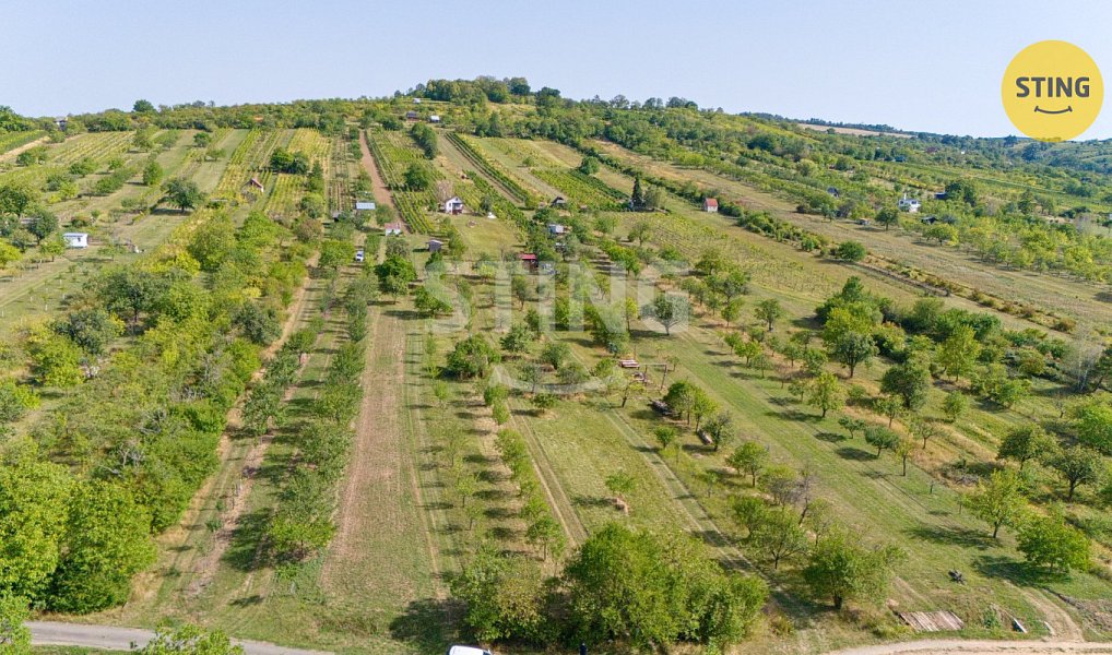 Prodej chaty/chalupy 42 m² s pozemkem 5 902 m², Strážnice – náhled fotky 11
