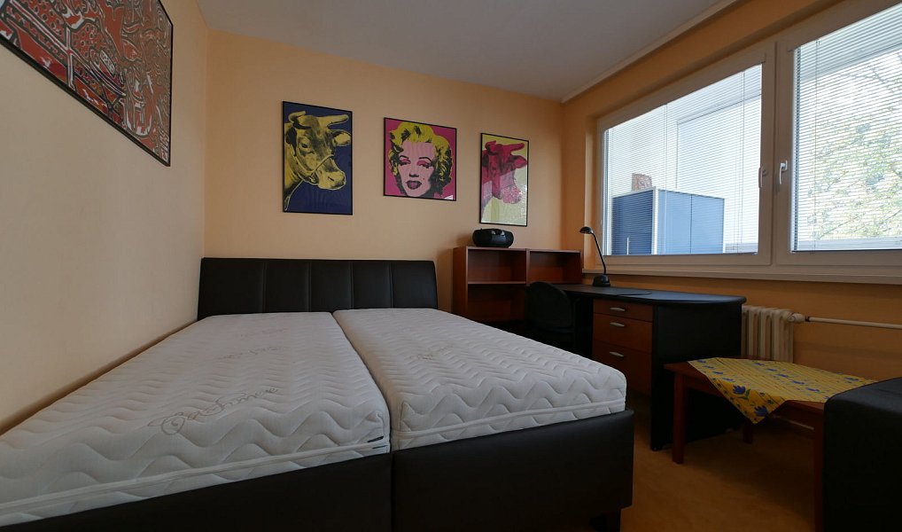 Pronájem bytu 1+1 30 m², Praha – náhled fotky 2