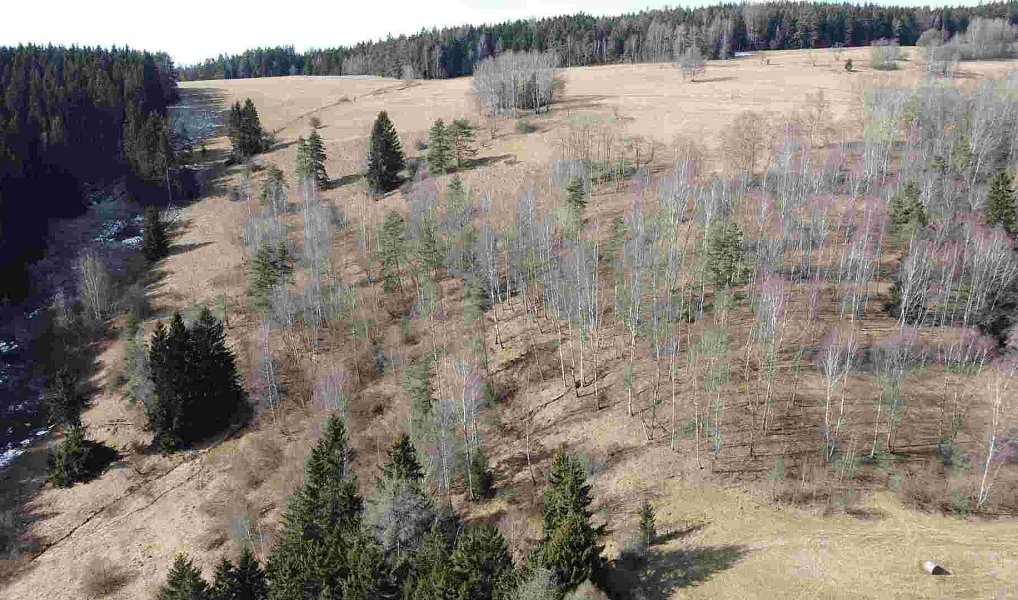 Prodej pole 3 869 m², Kraslice – náhled fotky 3