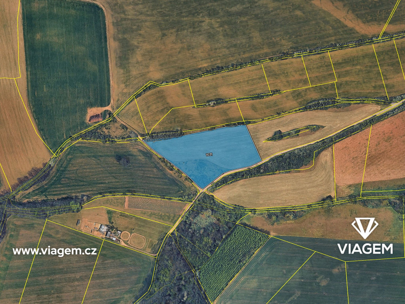 Prodej pole 2 496 m² – fotografie 4