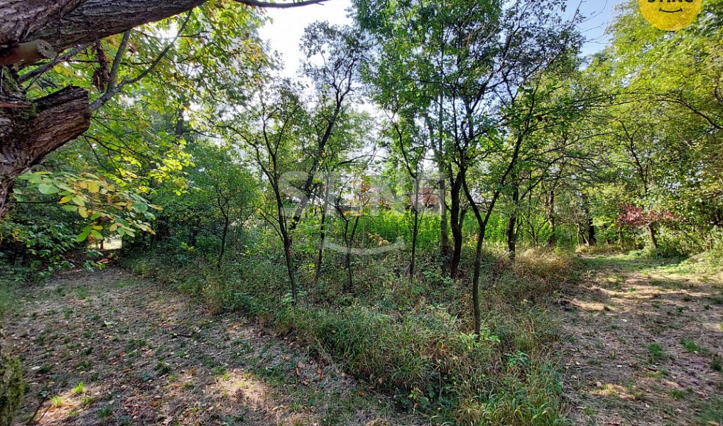 Prodej domu 260 m² s pozemkem 6 448 m², Dolní Těšice – náhled fotky 8