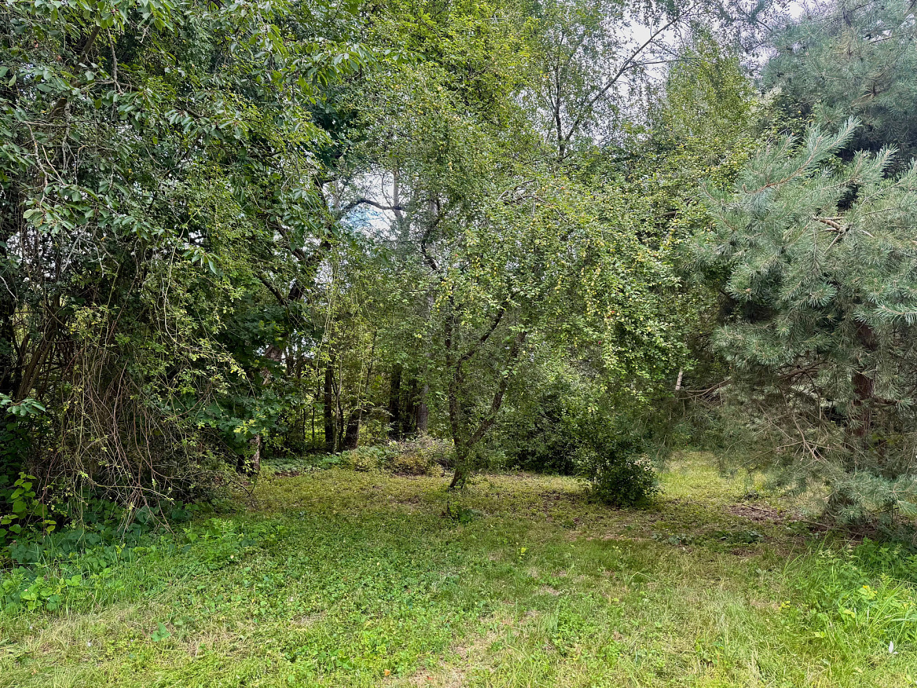 Prodej stavebního pozemku 1 268 m² – fotografie 5