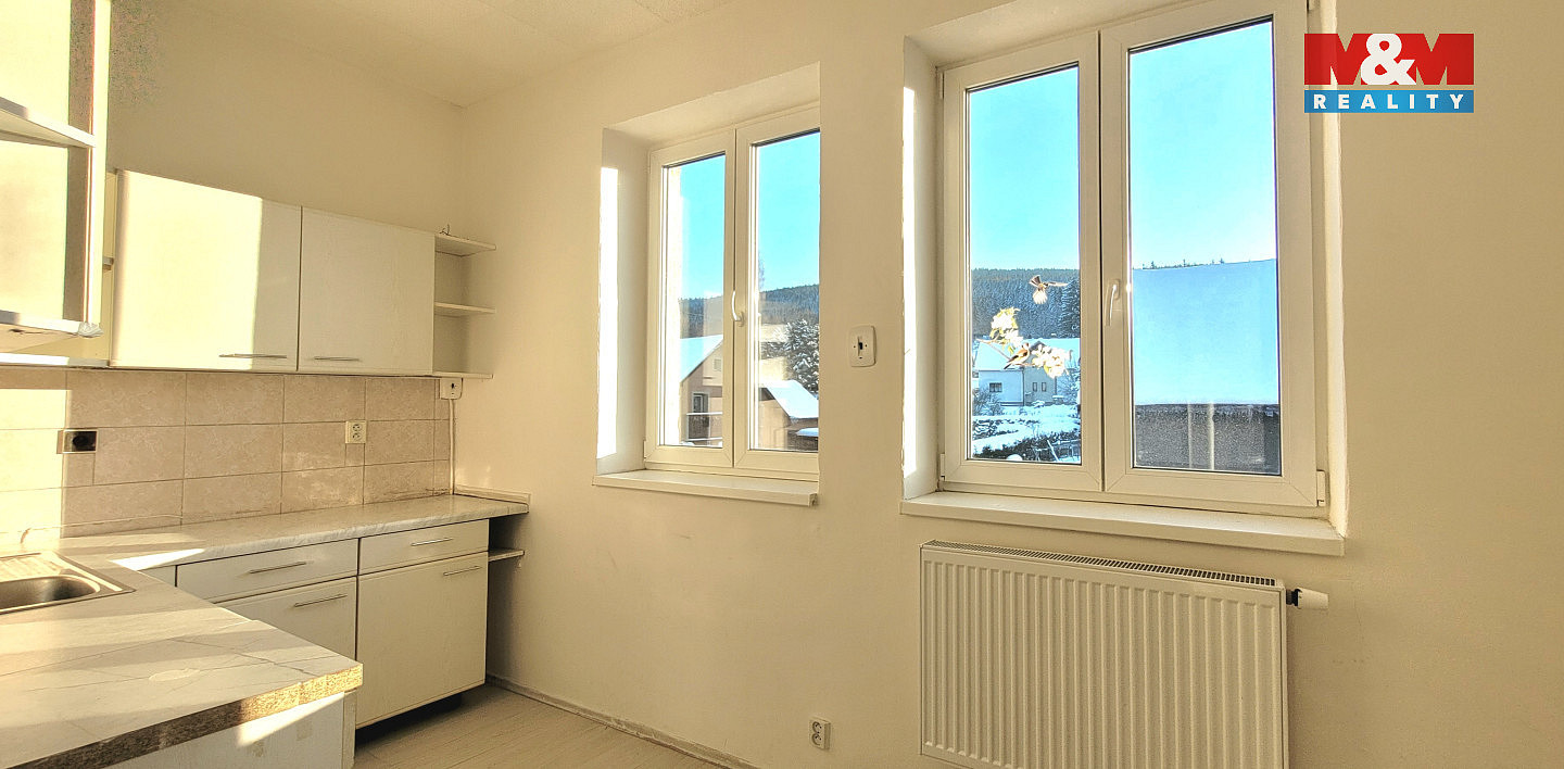 Pronájem bytu 1+1 45 m² – fotografie 4