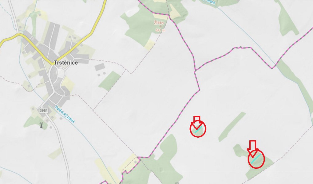 Prodej lesa 1 312 m², Skalice – náhled fotky 4