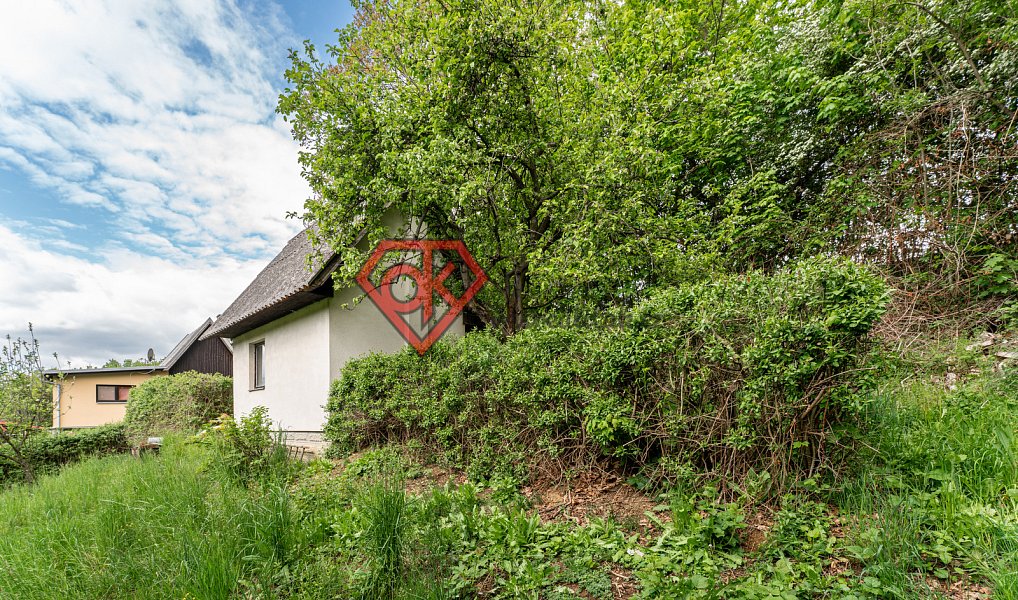 Prodej chaty/chalupy 30 m² s pozemkem 860 m², Rybník – náhled fotky 10