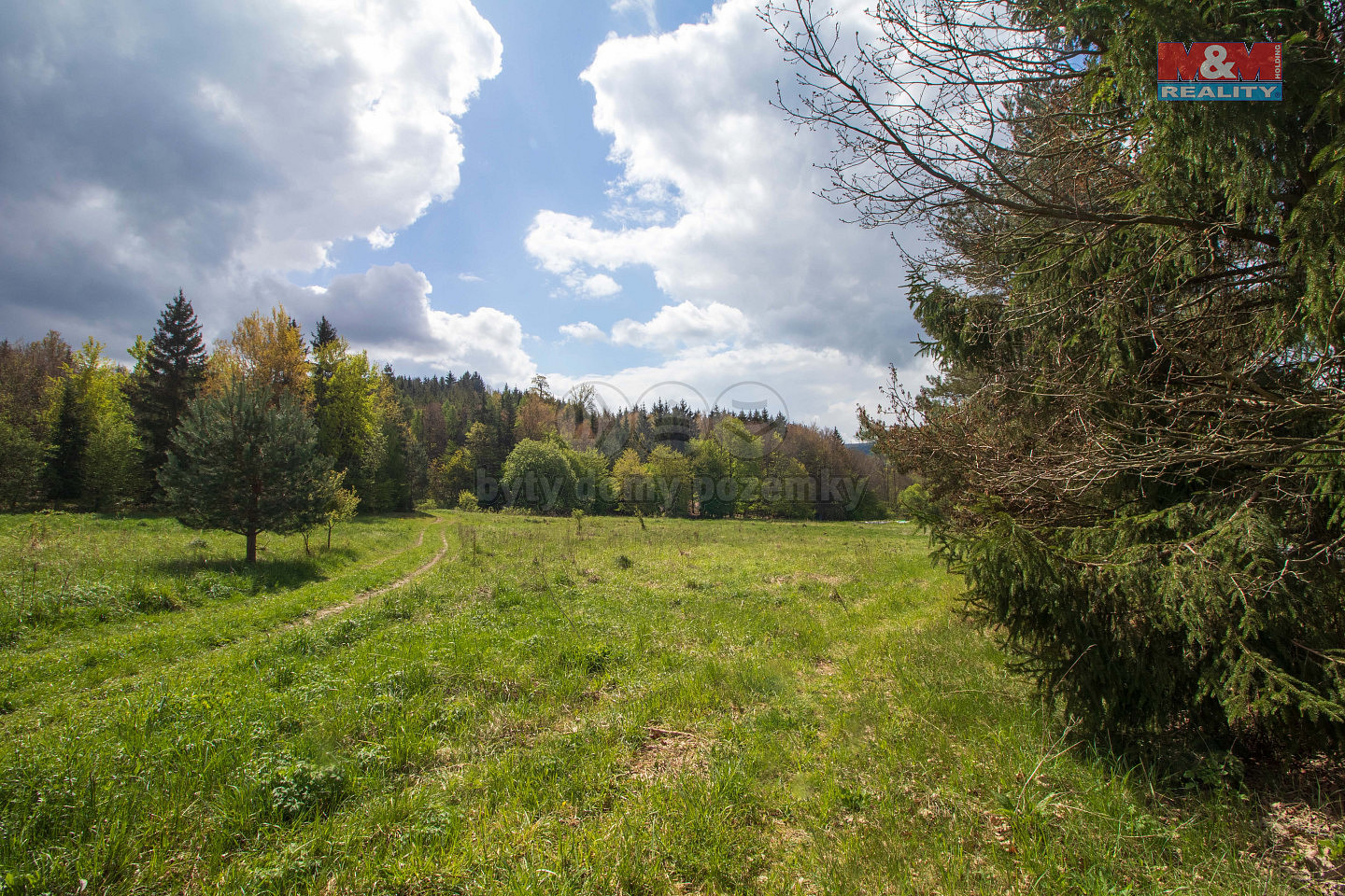 Prodej louky 3 586 m² — photo 2
