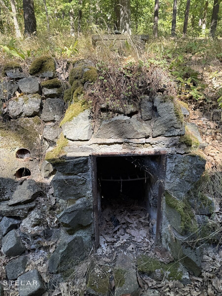 Fotka 10 z 16