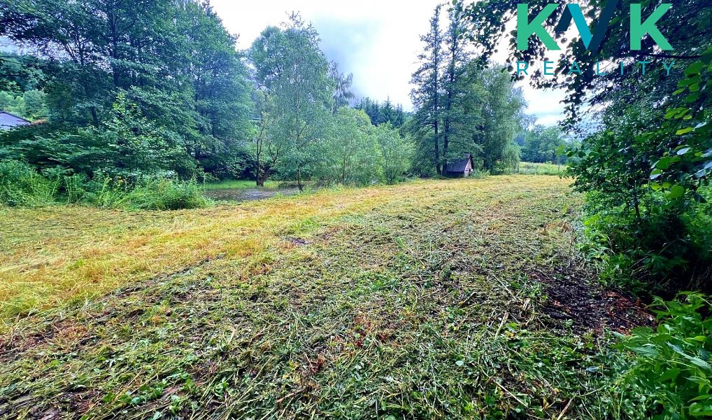 Pronájem zahrady 3 000 m², Sadov – náhled fotky 8