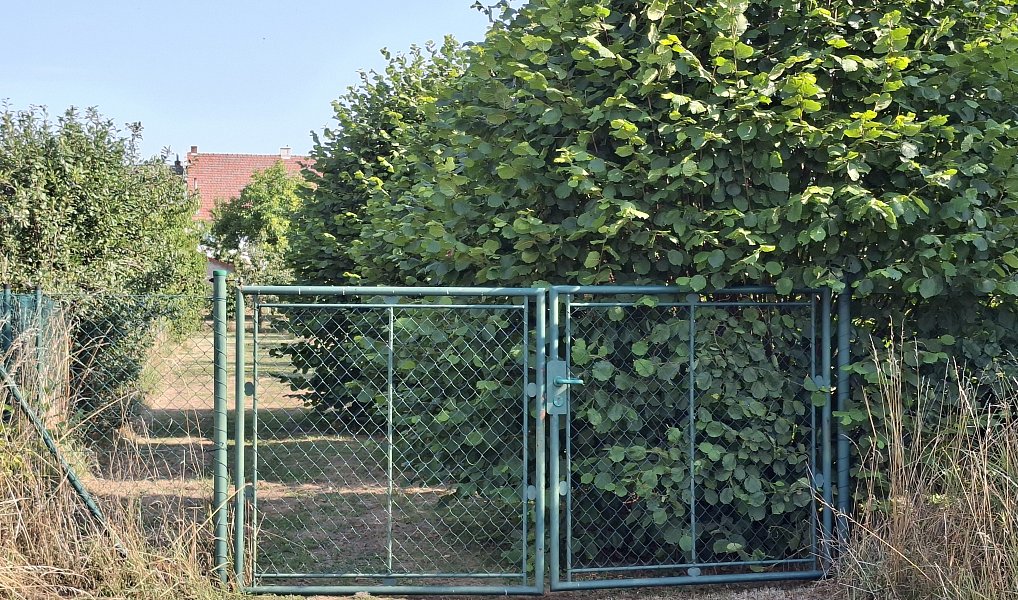 Prodej zahrady 894 m², Troubky – náhled fotky 4
