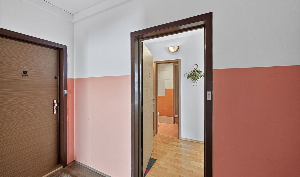Prodej bytu 1+kk 30 m², Praha – náhled fotky 8
