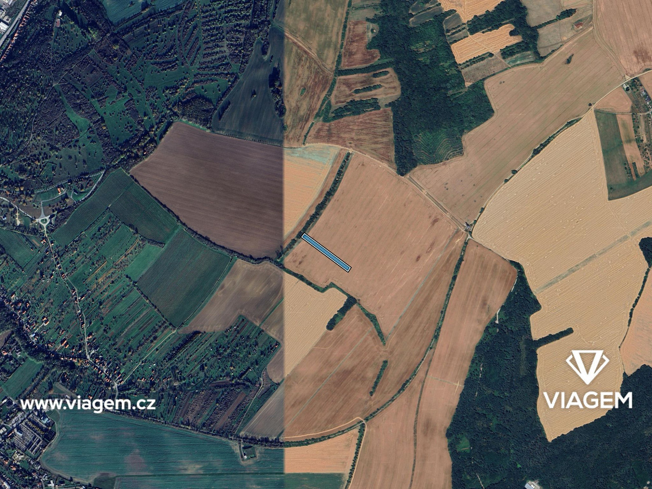 Prodej pole 4 389 m² – fotografie 3