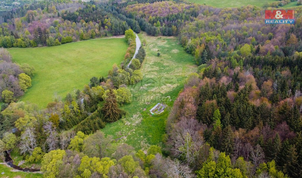 Prodej louky 3 586 m², Velenov – náhled fotky 5
