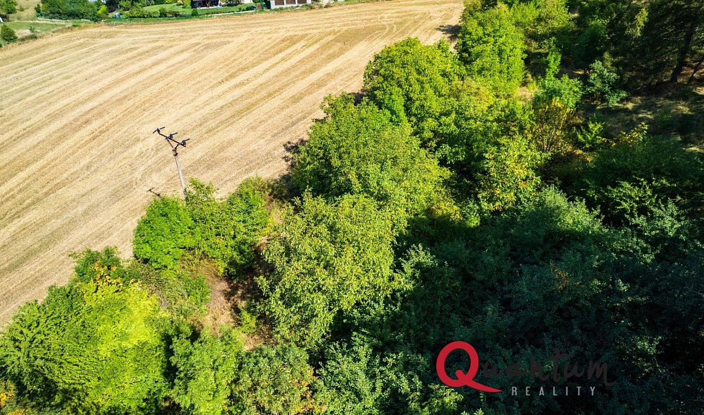 Prodej stavebního pozemku 16 339 m², Brandýsek – náhled fotky 41