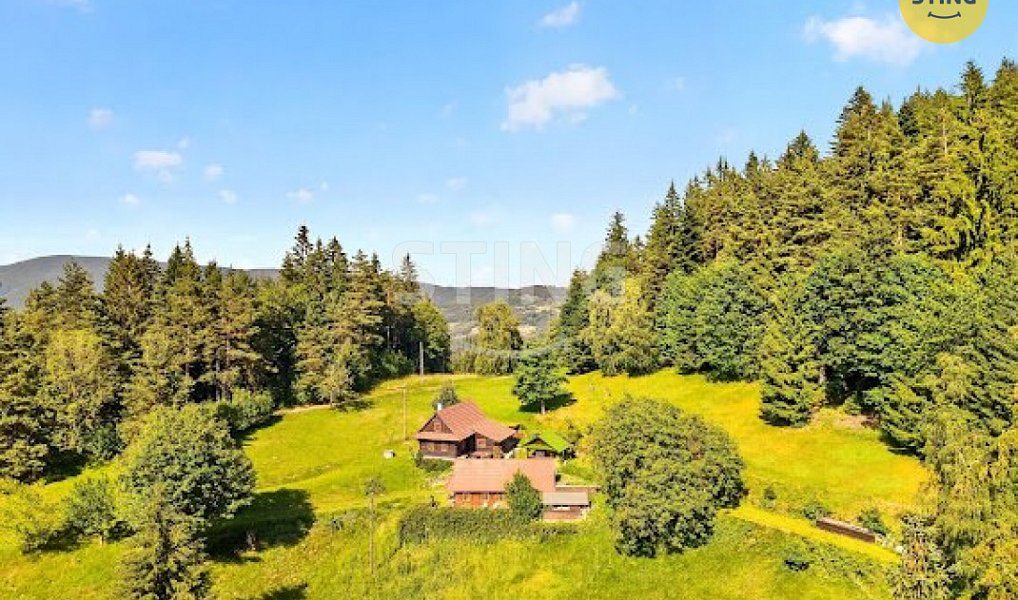 Prodej domu 2 989 m² s pozemkem 17 580 m², Hutisko-Solanec – náhled fotky 12