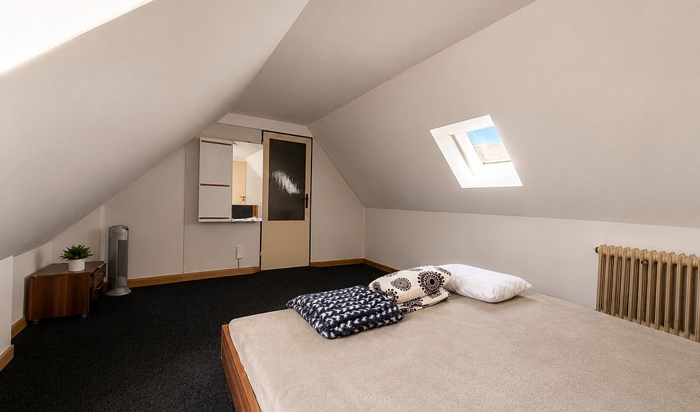 Prodej domu 180 m² s pozemkem 255 m², Rožmitál pod Třemšínem – náhled fotky 15