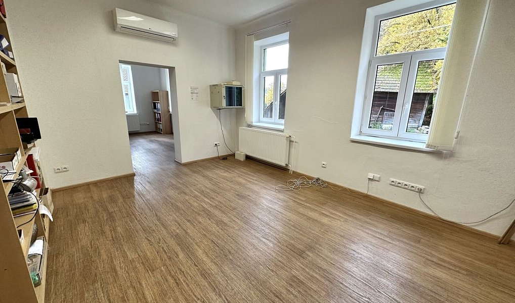 Prodej obchodních prostor 1 076 m², Lutonina – náhled fotky 16