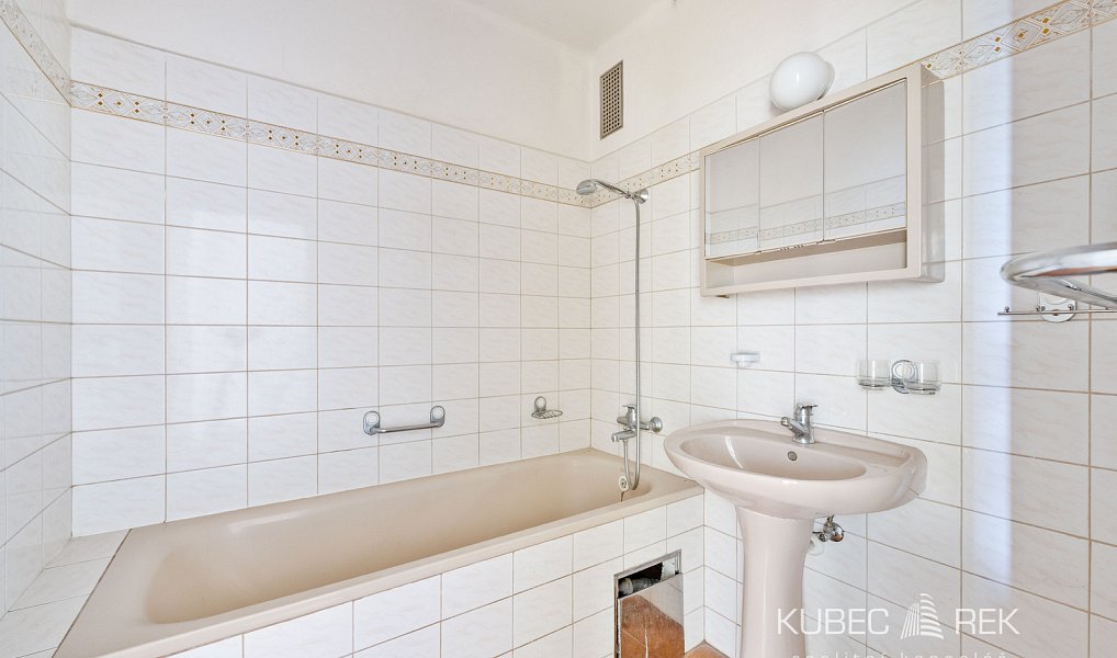Prodej domu 200 m² s pozemkem 884 m², Milevsko – náhled fotky 9