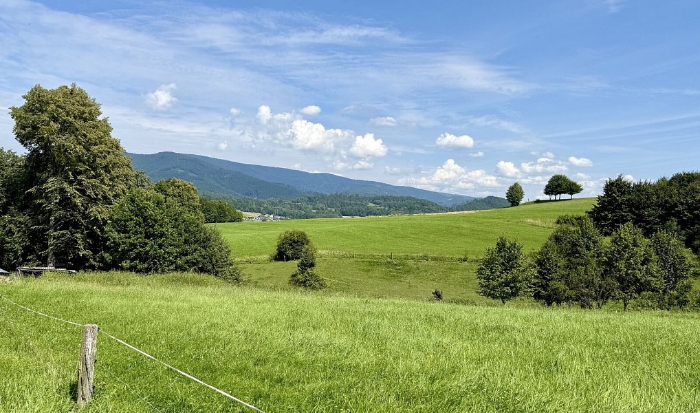 Prodej zahrady 11 072 m², Rožnov pod Radhoštěm – náhled fotky 5