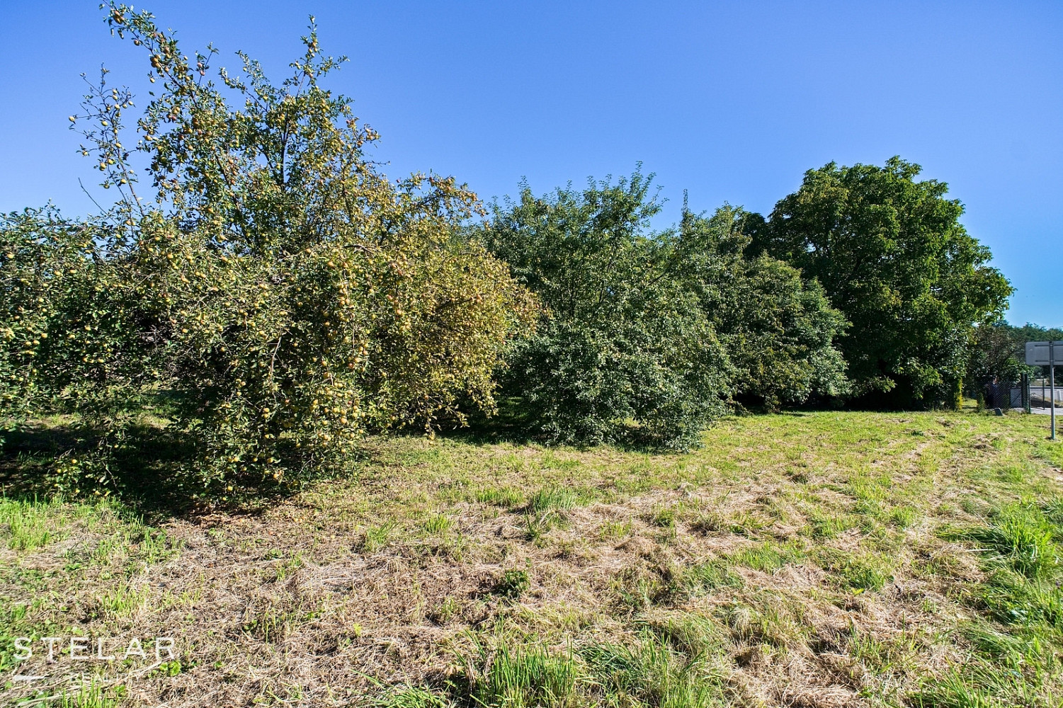 Prodej domu 120 m² s pozemkem 2 179 m² – fotografie 5