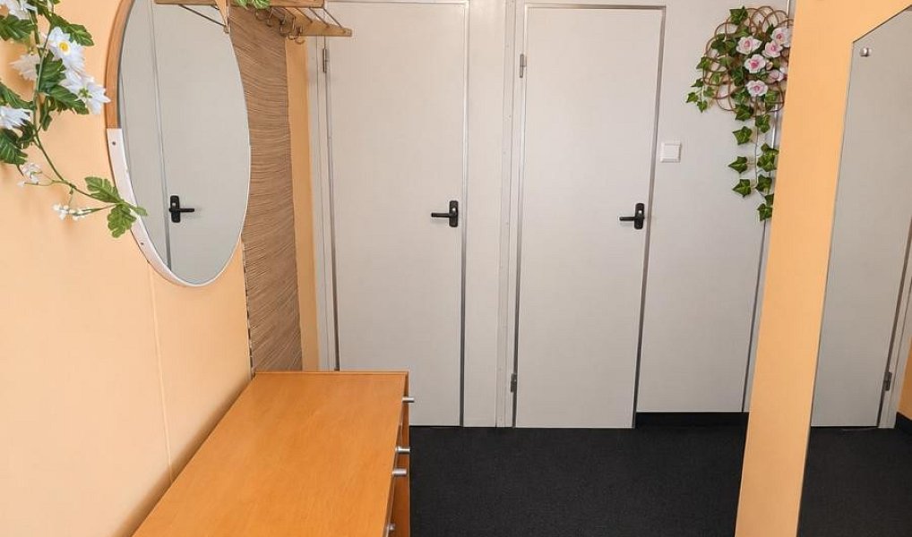 Pronájem bytu 2+1 49 m², Bílina – náhled fotky 8