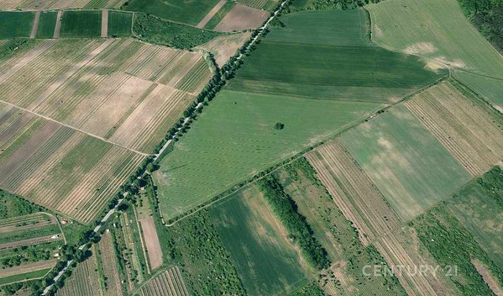 Prodej pole 4 498 m², Valtice – náhled fotky 3