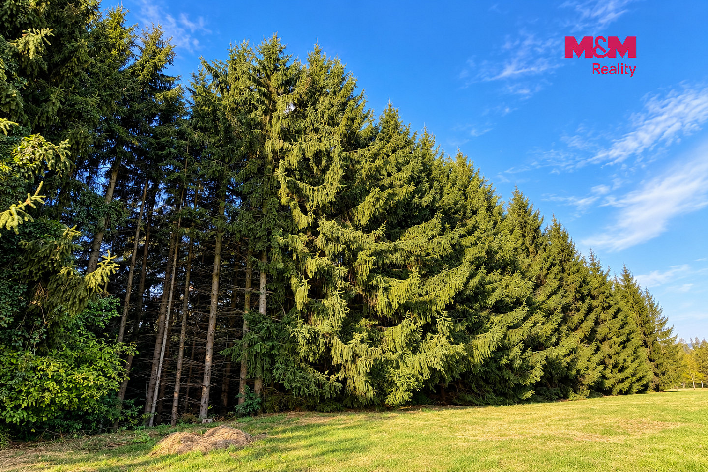 Prodej zahrady 4 062 m² – fotografie 4