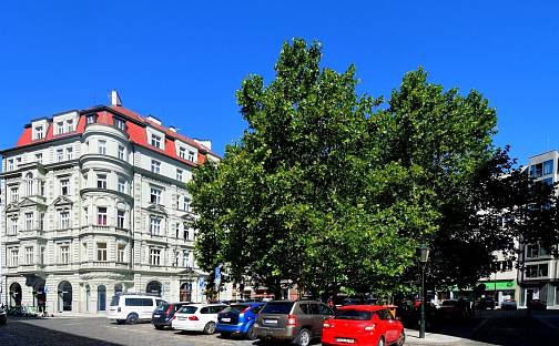 Pronájem bytu 1+1 37 m², Soukenická, Praha 1 - Nové Město