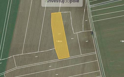 Prodej pole 2 455 m², Břežany, okres Rakovník
