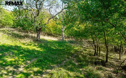 Prodej lesa 1 765 m², Dolní Zálezly, okres Ústí nad Labem