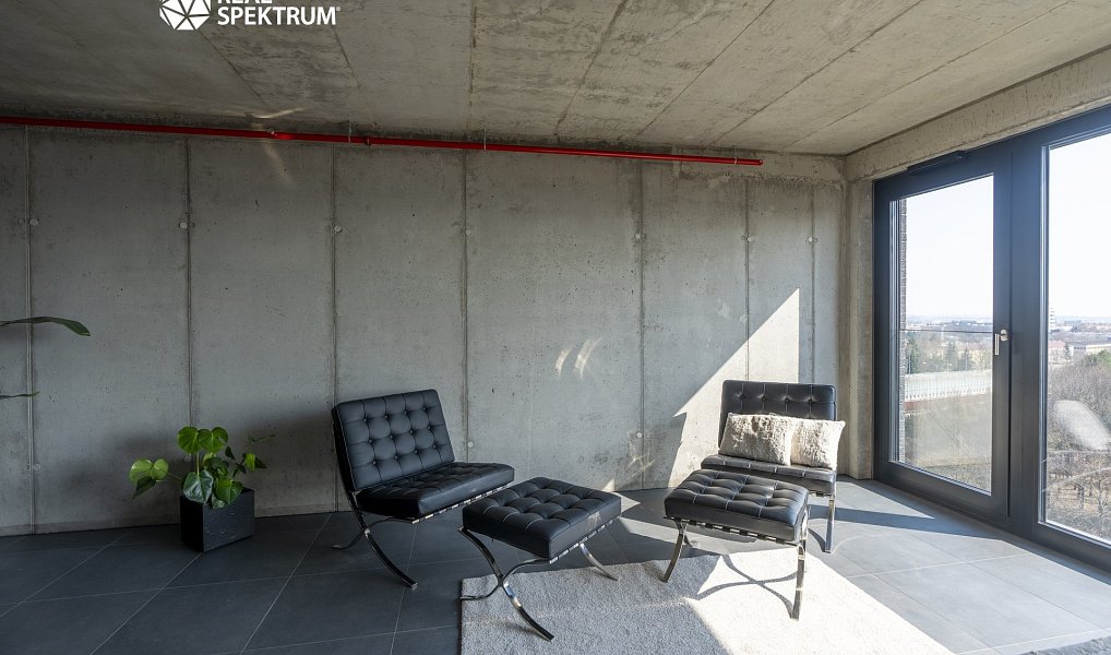 Pronájem bytu 1+kk 35 m², Brno – náhled fotky 3