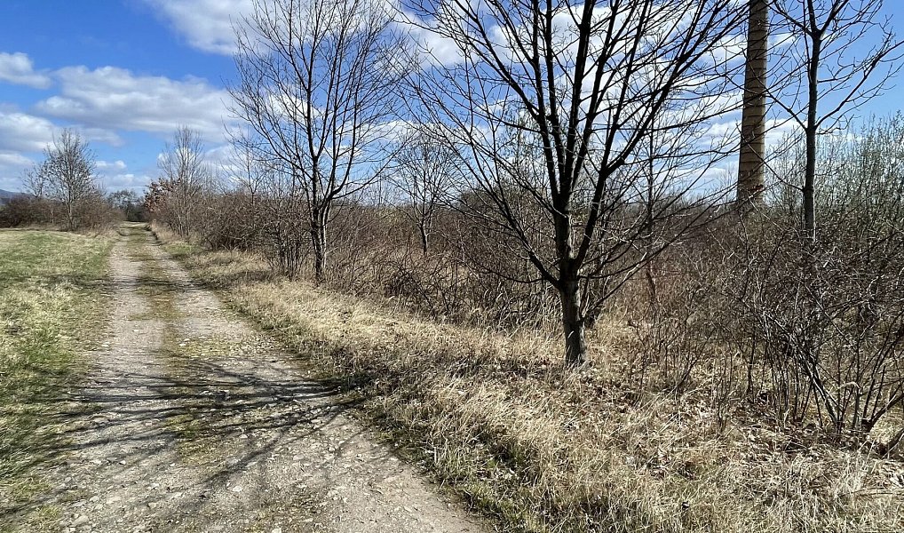 Prodej komerčního pozemku 84 700 m², Háj u Duchcova – náhled fotky 27