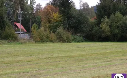 Prodej pozemku 3 860 m², Horní Planá, okres Český Krumlov