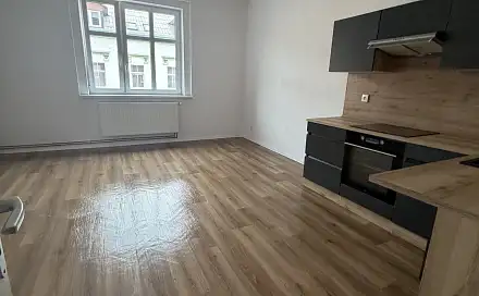 Pronájem bytu 1+1 44 m²