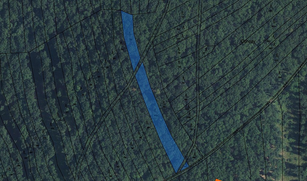 Prodej lesa 4 024 m², Morkůvky – náhled fotky 3