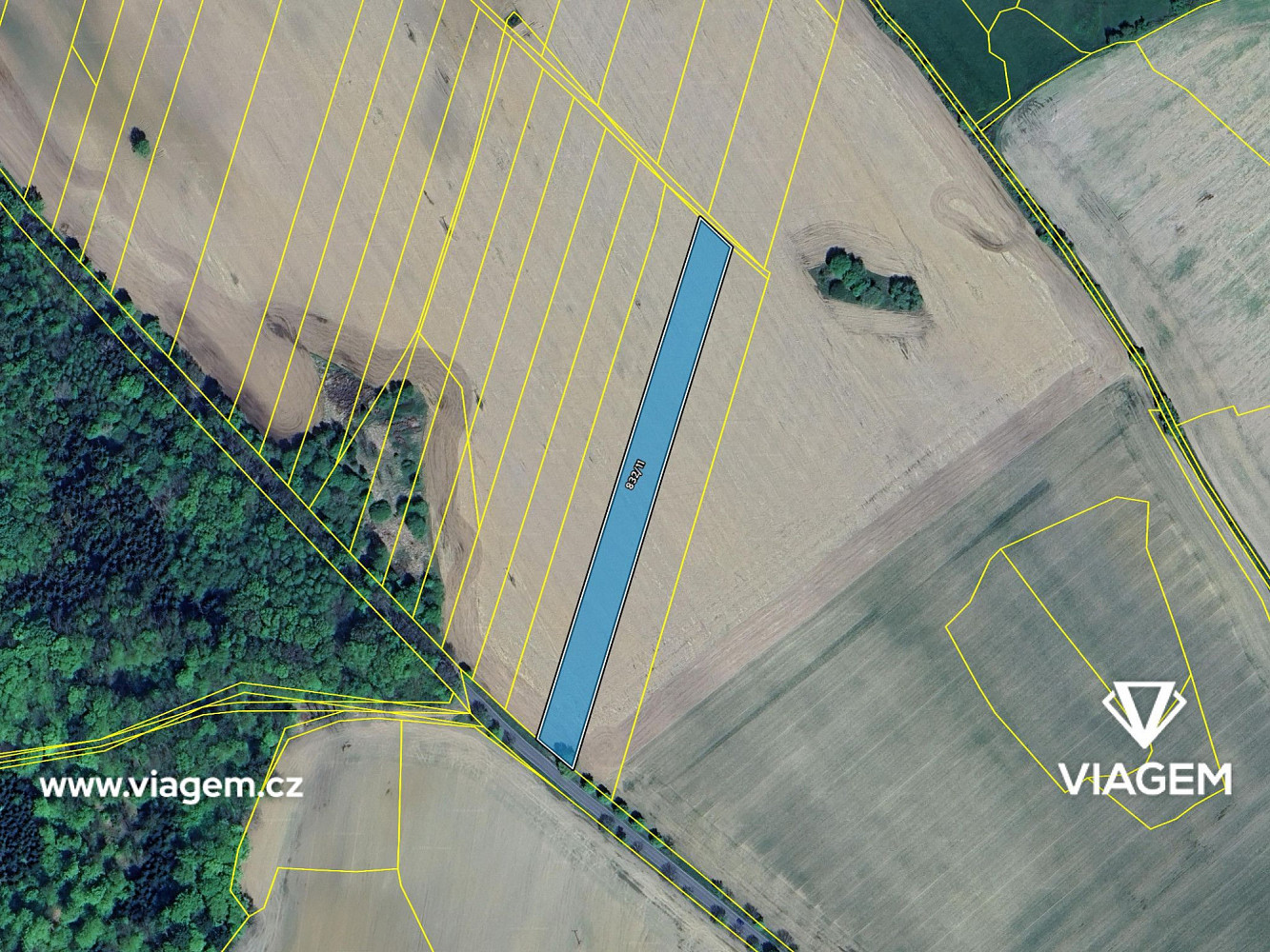 Prodej pole 1 479 m² – fotografie 4