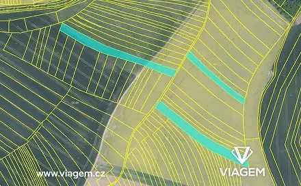 Prodej pole 2 169 m², Nítkovice, okres Kroměříž