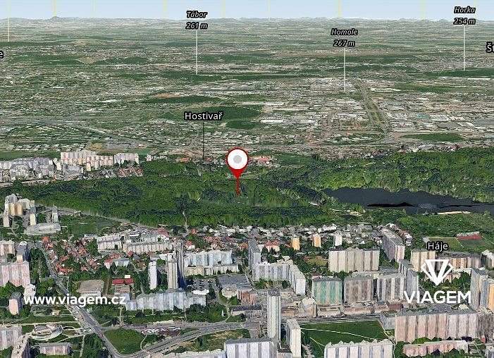 Prodej lesa 1 752 m² – fotografie 4