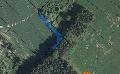 Prodej lesa 144 m², Mezilesí, okres Pelhřimov