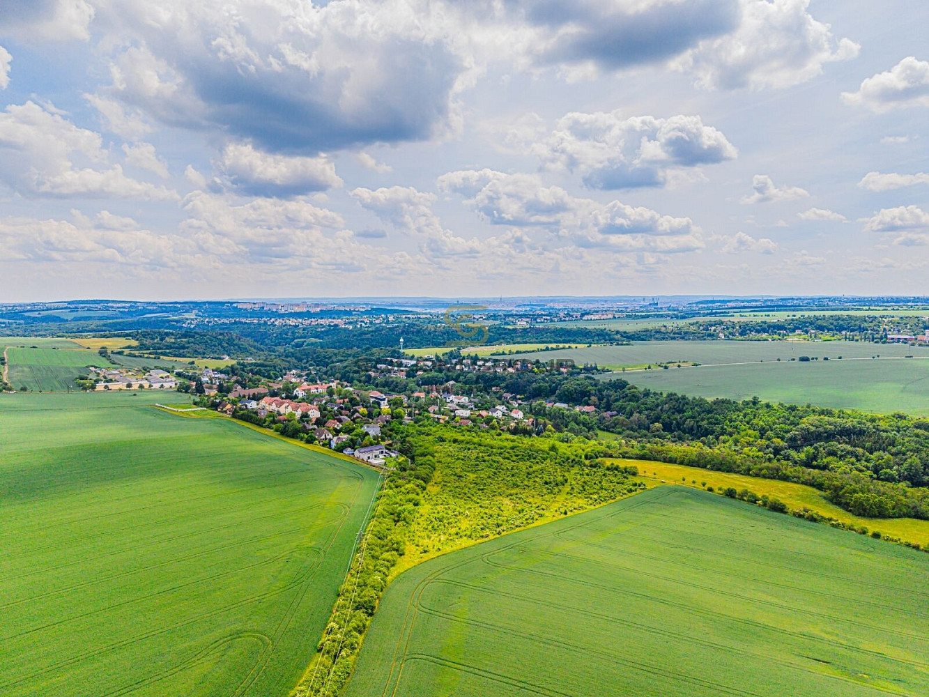 Prodej pole 14 828 m² — photo 4