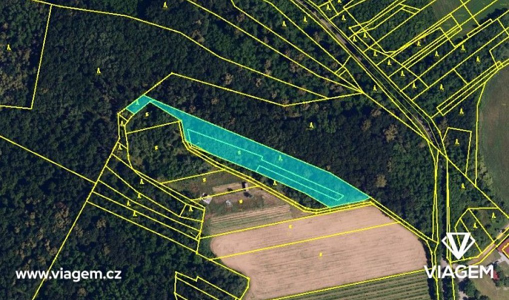 Prodej lesa 1 559 m², Dolní Kounice – náhled fotky 3