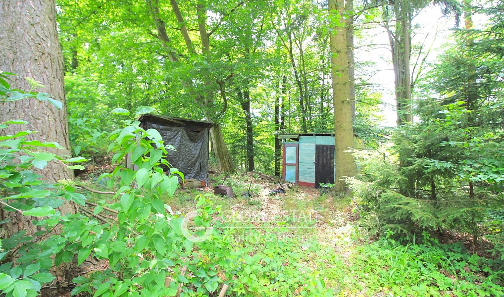 Prodej chaty/chalupy 36 m² s pozemkem 591 m², Černé Voděrady – náhled fotky 6