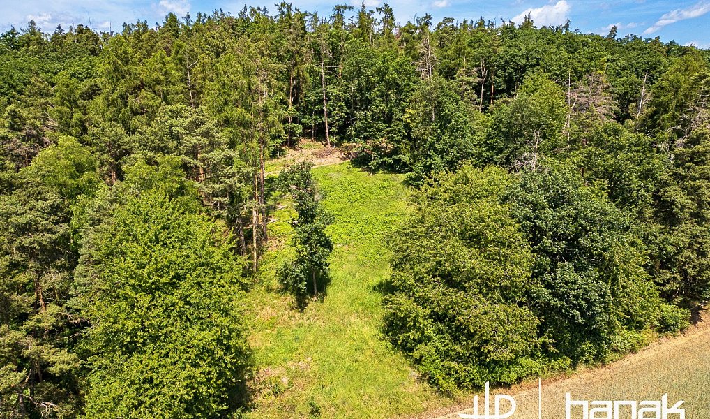 Prodej stavebního pozemku 3 150 m², Hluchov – náhled fotky 8