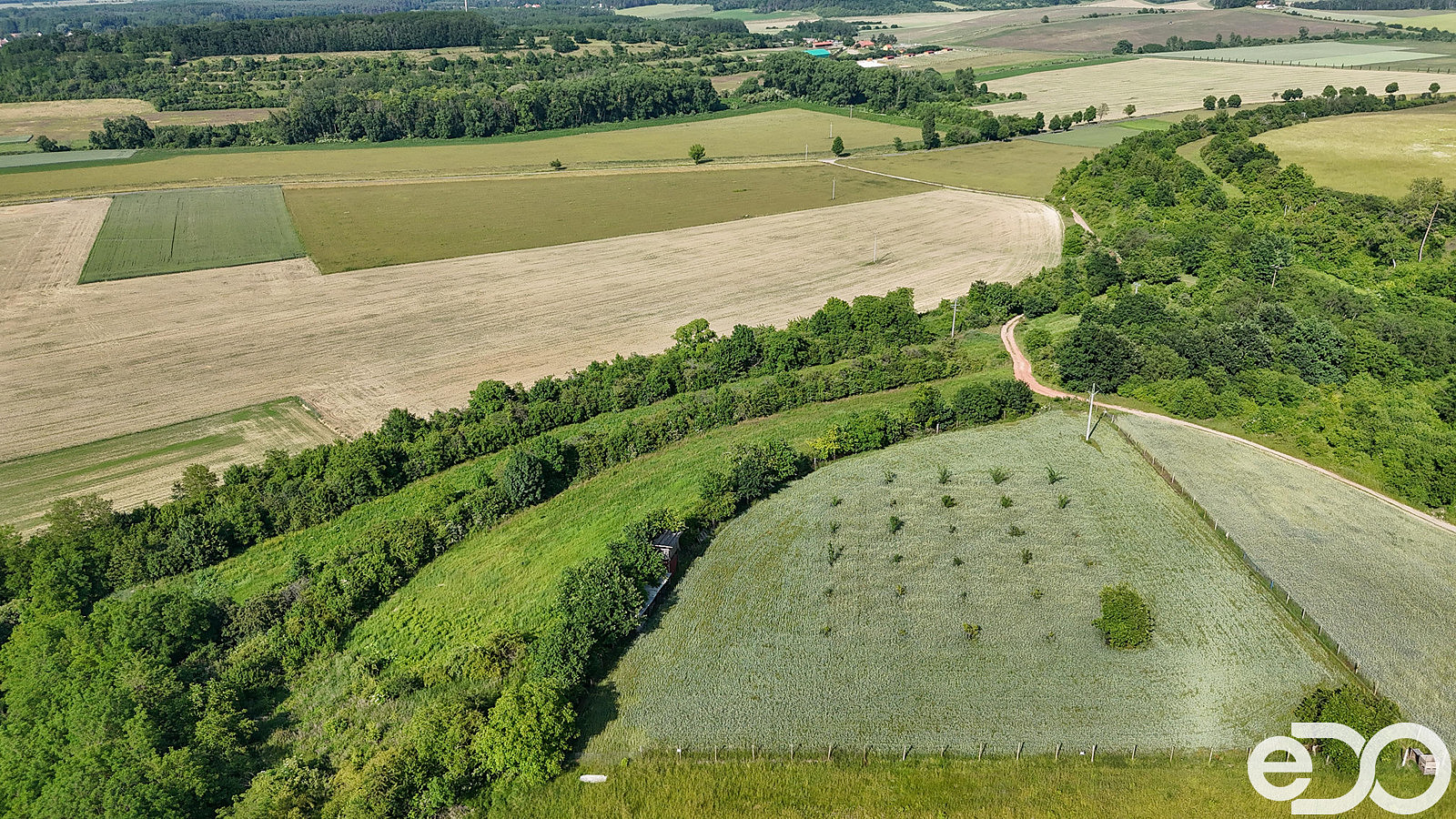 Prodej pozemku 14 560 m² – fotografie 5
