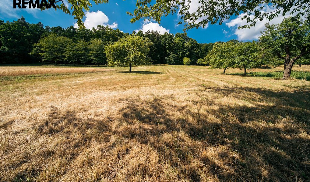 Prodej domu 124 m² s pozemkem 4 419 m², Lomnice – náhled fotky 46