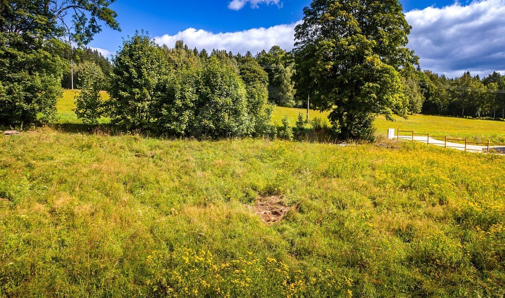 Prodej stavebního pozemku 1 122 m², Přední Výtoň – náhled fotky 10