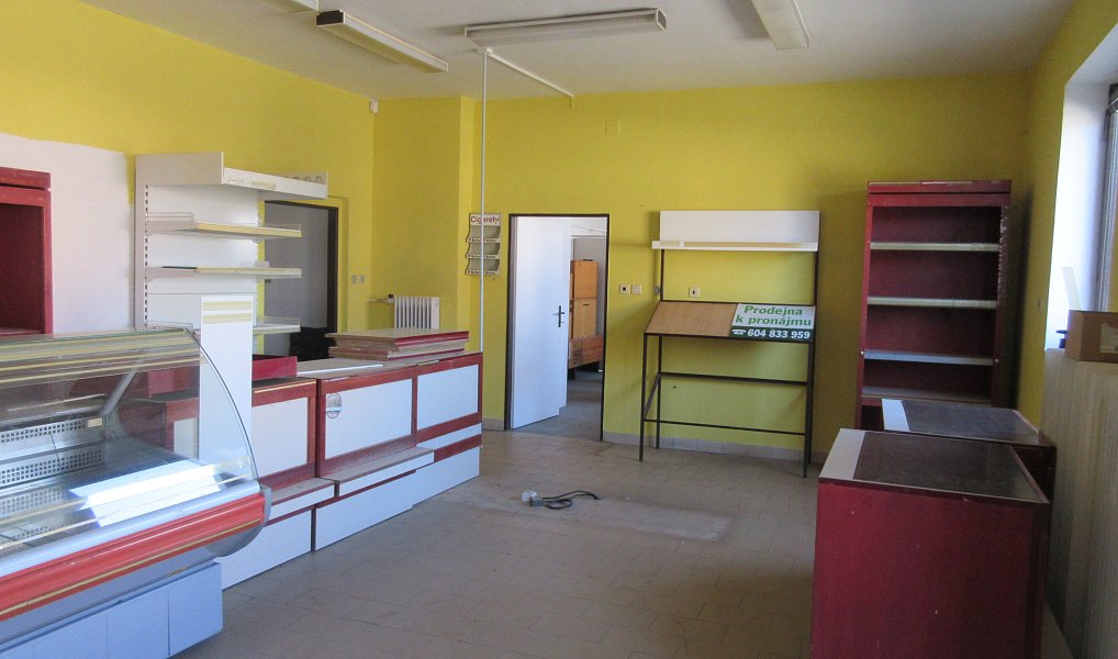 Prodej domu 160 m² s pozemkem 443 m², Znětínek – náhled fotky 4