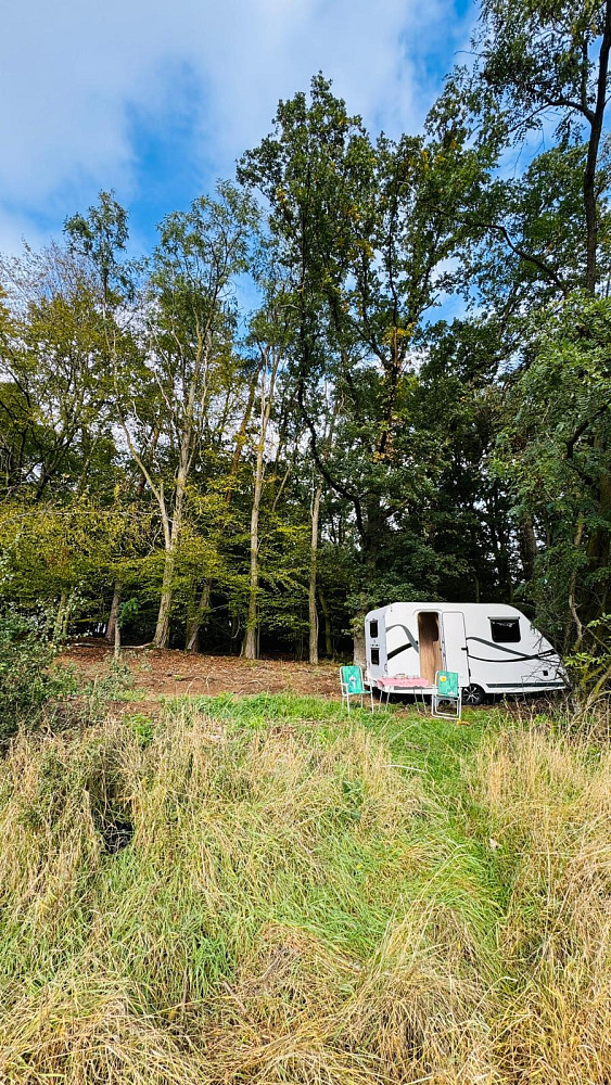 Prodej lesa 893 m² – fotografie 3